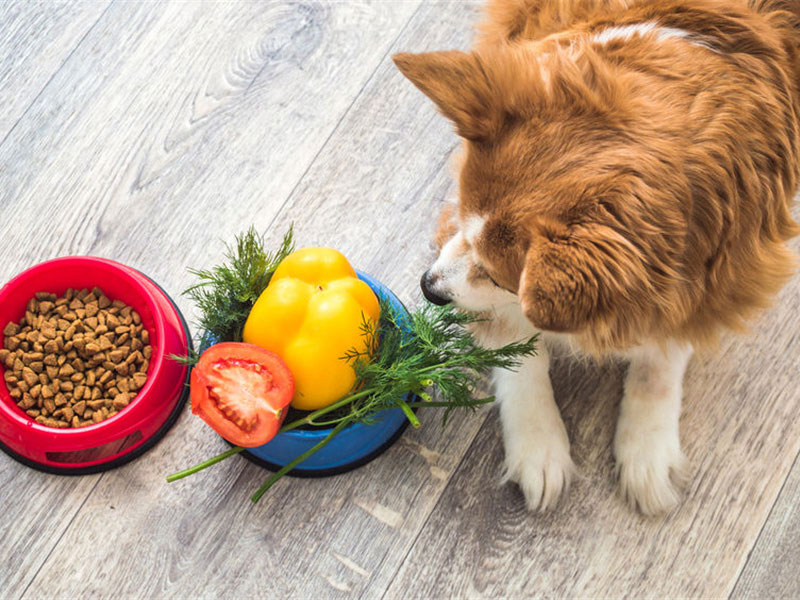 飼料類能力驗證