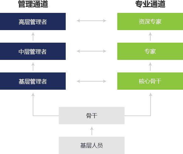 發(fā)展
