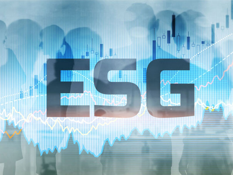 ESG數(shù)據(jù)庫