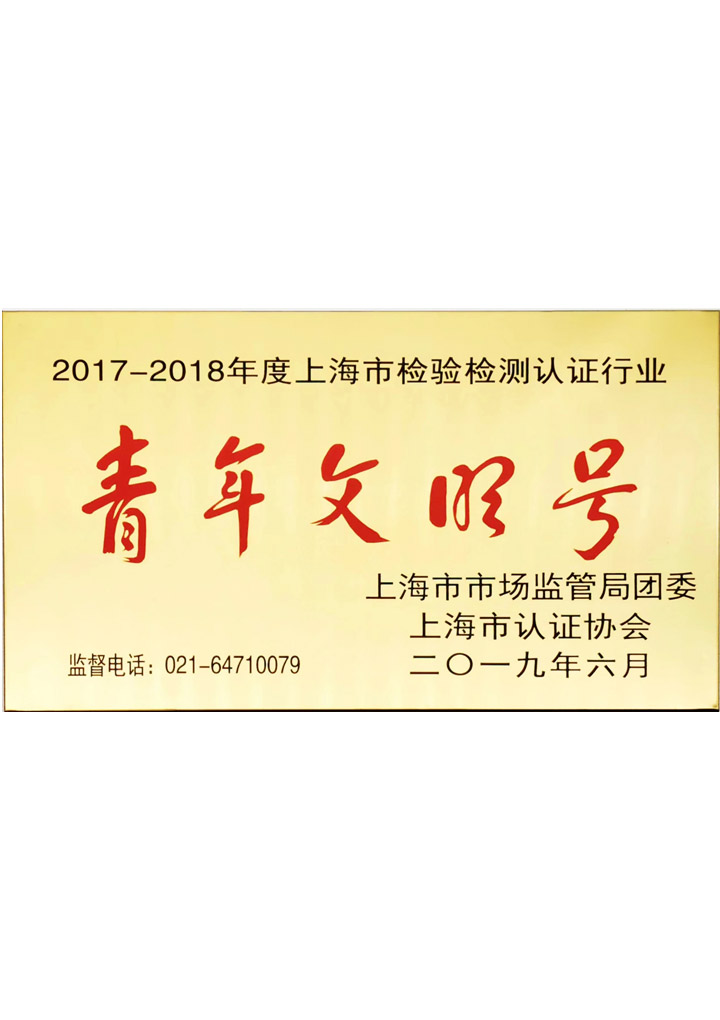上海市檢驗(yàn)檢測(cè)認(rèn)證行業(yè)青年文明號(hào)