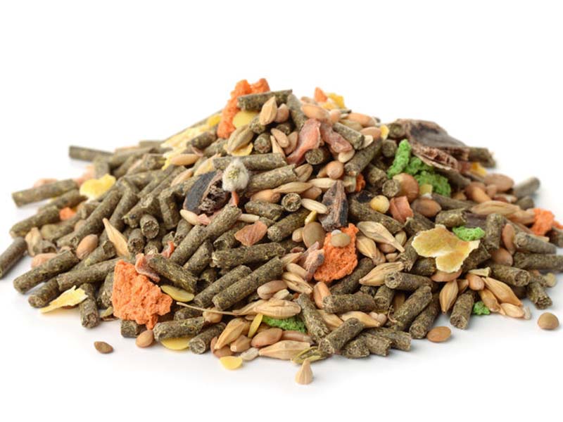 實(shí)驗(yàn)動(dòng)物配合飼料檢測