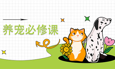 【養(yǎng)寵必修課】(第2期）▏母貓懷孕期間的體重管理及注意事項